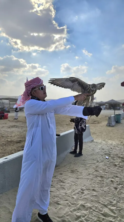 A guide in a white thobe with a falcon perched on his glove